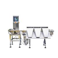 Máquina de pesagem de carga pesada Cintura transportadora digital Verificar Pesador Máquina de classificação de pesagem Faixa de pesagem Dentro de 5-15KG