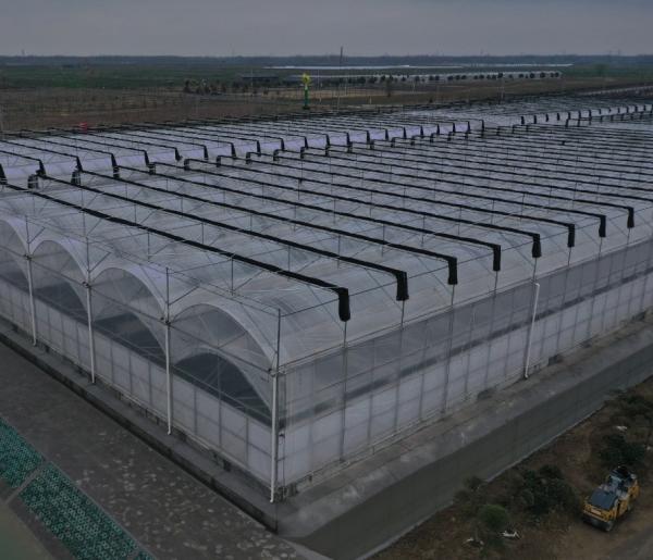 Seedling Cultivation Juxiang Hydroponic Farm Film Greenhouse with Customized Request