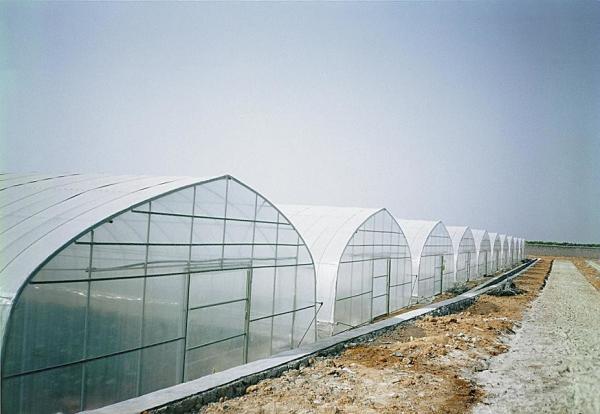 Section 4m Polyethylene Film Greenhouse , Single Span Greenhouse For Vegetable