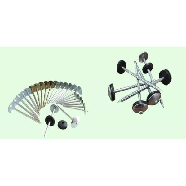 Hot Dipped Galvanized Roofing Metal Wire Nails 20kg / Carton Packing 11 Gauge