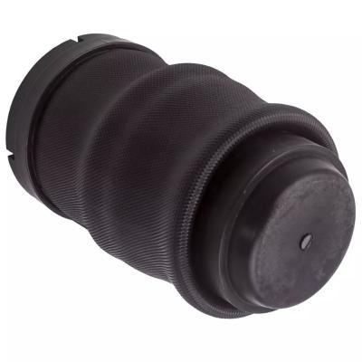 W638 Air Spring traseira