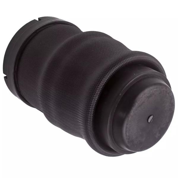 W638 Air Spring traseira