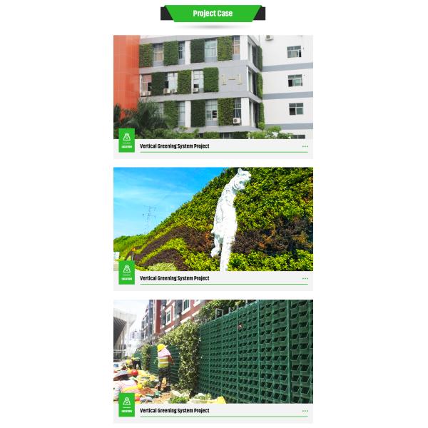 Wall Hanging Flowerpot Planter for Flower/Green Plant Vertical Display