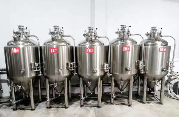 Polyurethane Insulation 1bbl Fermenter for Homebrew Fermentation Tank by GSTA