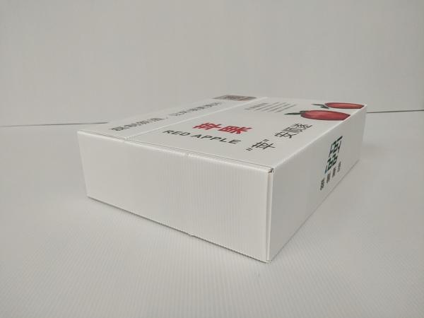 Anti Mold Gift White Corrugated Boxes Packaging Anti Rodent