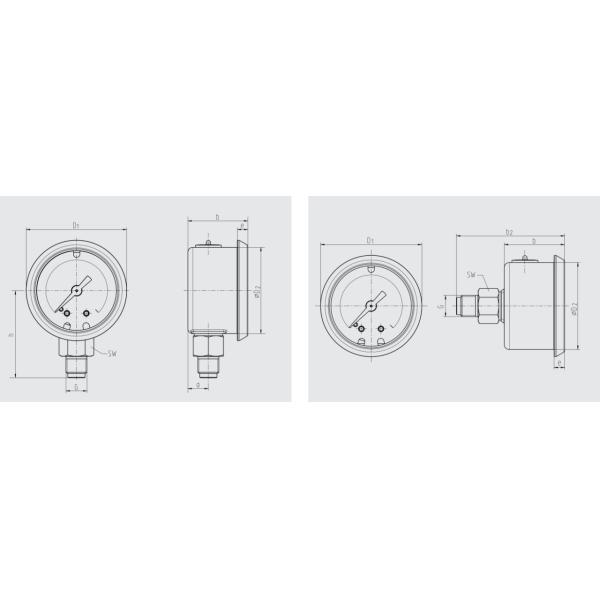 20bar All Stainless Steel Pressure Gauge Panel Mount With Glass Lens