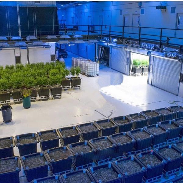 Сверхмощное поли Аквапоникс растет кровать с садом Ротомолдинг колес поднятым для Супериоргарденс