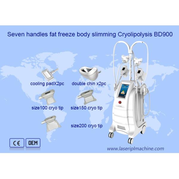Жирная замерзая двойная машина Cryolipolysis удаления Китая