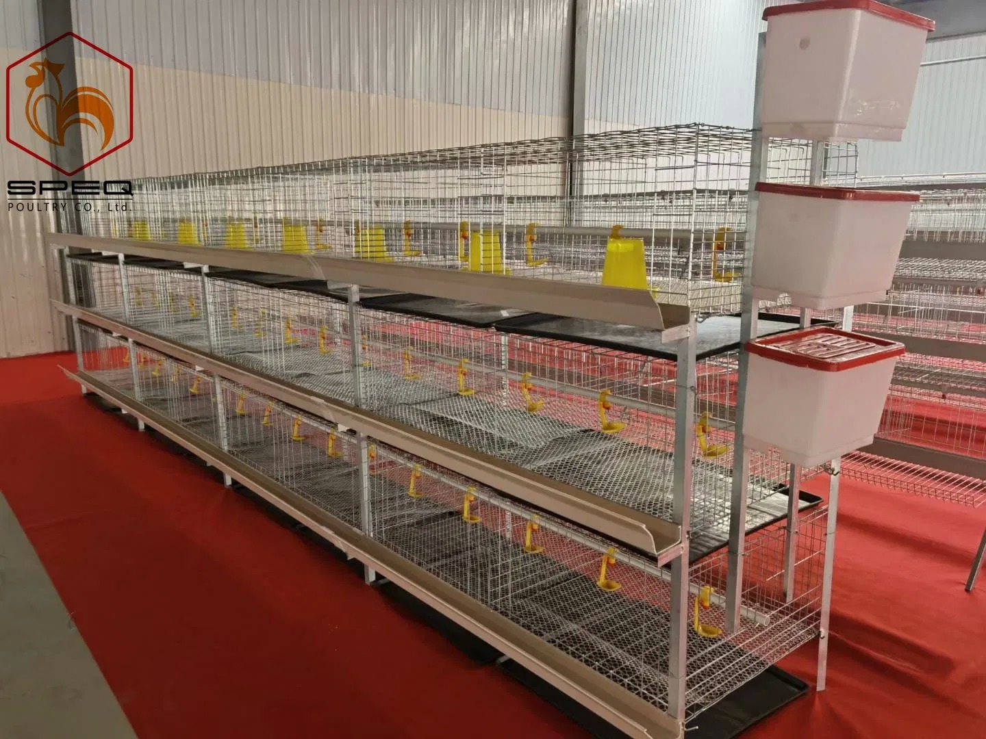 Customizable Size A Type Layer Cage 3-8 Tiers Layer Chicken Cage Stepped Design