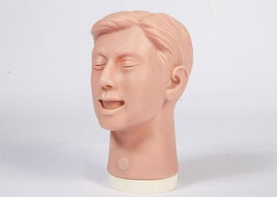 Ophthalmic Suture Practice Model Clinical Simulation for College Training