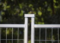 barrière provisoire Galvanized Canada Standard de construction de 6ftx8ft