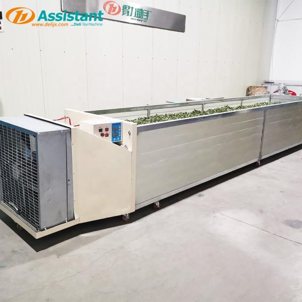 Raw Material Tea Withering Machine DL-6CWD-1090 with Warm Wind and Cooling System
