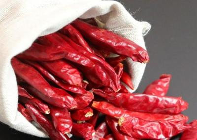 Condimento picante encarnado secado suave do alimento de FDA Chili Peppers 10 PPB