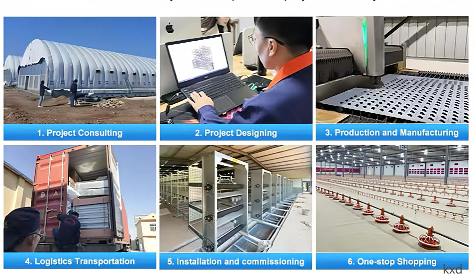 Hot-dip galvanized H-type layer cage with high egg laying rate and good ventilation for large scale poultry breeding