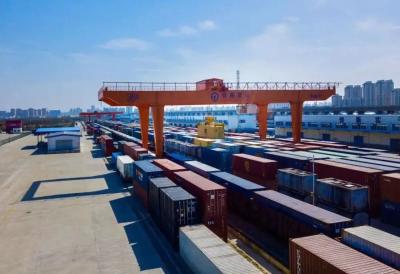 Ocean Freight LCL Cargo Shipping China To Hamburg