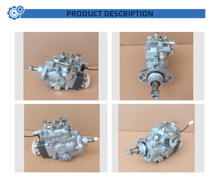 Diesel Engine VE4/11F1100LNP2440 104646-5410 High Pressure Fuel Pump Assembly for ISUZU 4JG1