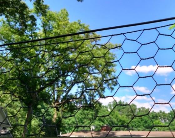 PVC Hexagonal Wire Mesh 3/4 inch 19 Gauge Black Poultry Netting