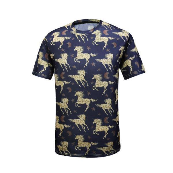 Men'S Polyester Sports Fitness Quick Drying T Shirt Custom Printing