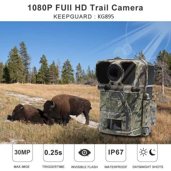 Высокая камера живой природы разрешения 4g, камера следа ночного видения 4g Lte