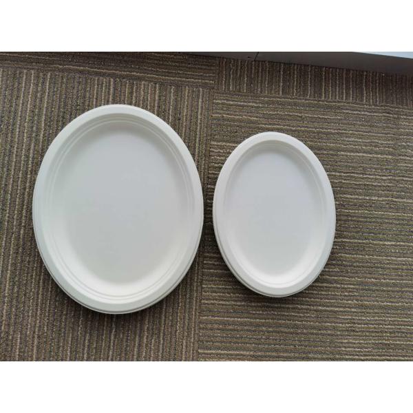 10 / 12 Inch Oval  Restaurant Nature Bagasse Paper Plates
