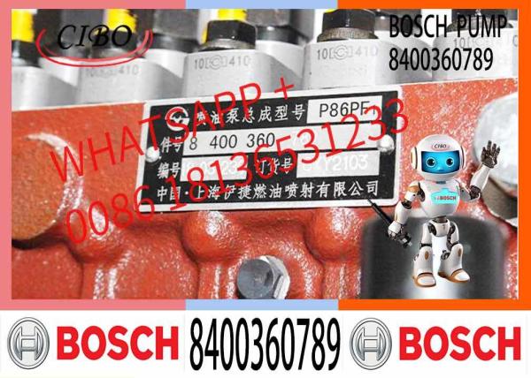 Pompes d'injection de carburant diesel neuve de haute qualité 8400360789 Pièces détachées de moteurs automobiles 8 400 360 789