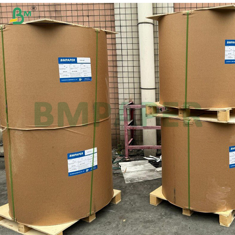 240gsm + 20gsm Biodegradable PLA Coated Cup Base paper in roll