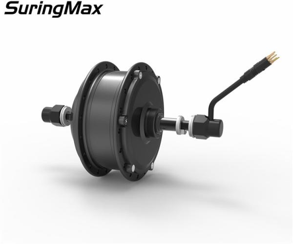 Rear Ebike Wheel Kit , 36V 250W electric Hub Ebike motor Kit With Batteries