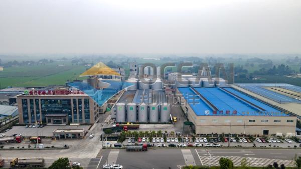 Automatic Standard Crude Oil Refinery Machine OEM Continuous 50 Hz