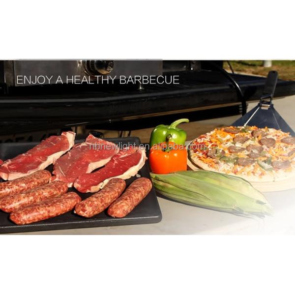 Rotisserie Roaster Propane Grill with Tabletop Pizza Maker and Stainless Steel Housing
