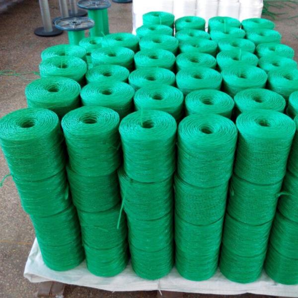 UV Treated Polypropylene Twine 1mm-3mm for Tomato Tying and Agricultural Packaging 200m-2000m/roll