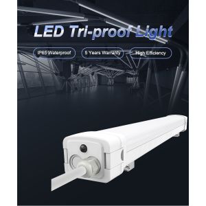 LED Triproof Light