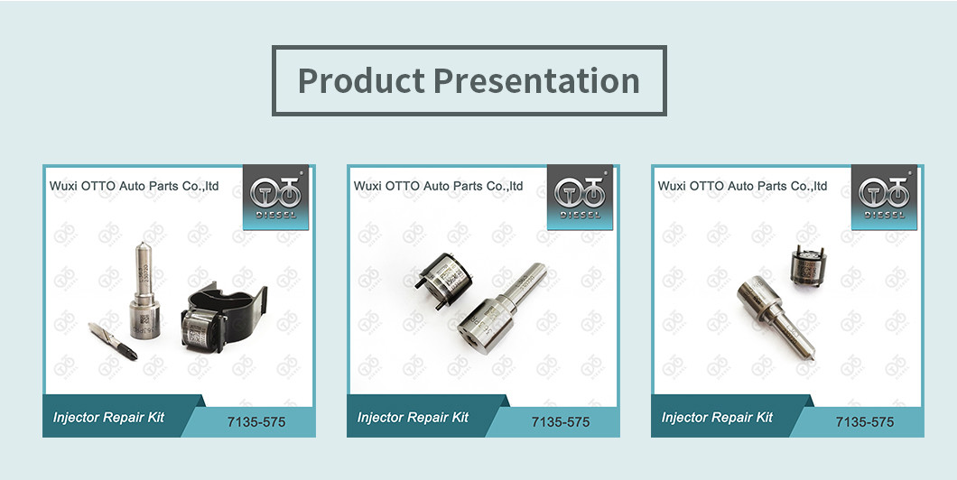 Нолльзе-Вальв Kit 7135-575 Delphi Injector Repair Kit для 28231462 VW 1.2L Nozzle L363PRD