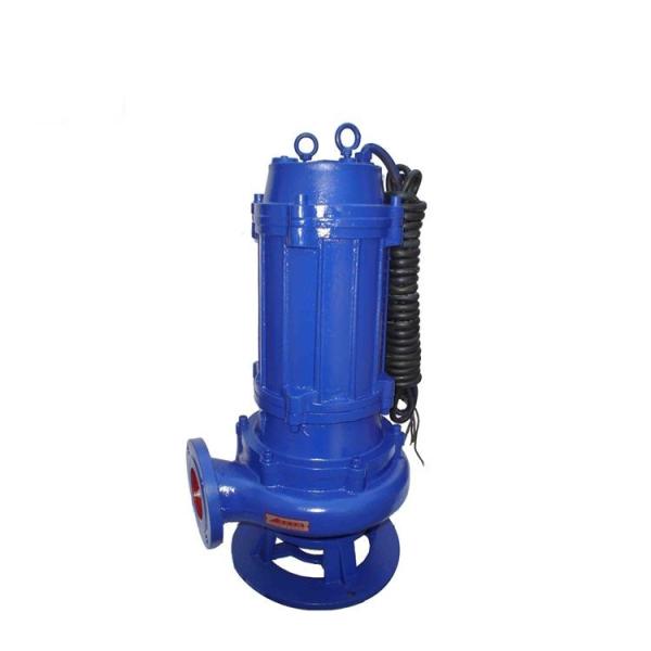 Durable Cast Iron Sewage Pump Drainage Schools Auto Coupling Installation