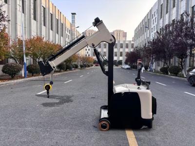 Motor Customized Electric Counter Balance Forklift  Mini Crane Arm  Length 2480 mm  Lifting Height 3000 mm