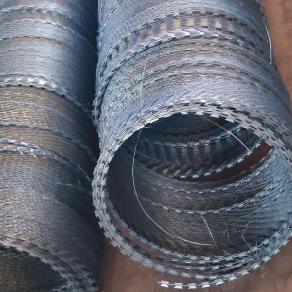 Galvanized 550mm 600mm Flat Security Fencing Razor Wire Concertina Barbed Wire Fencing