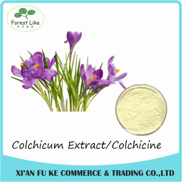 Best Selling Colchicum Extract Colchicine 98% CAS NO:64- 86 - 8