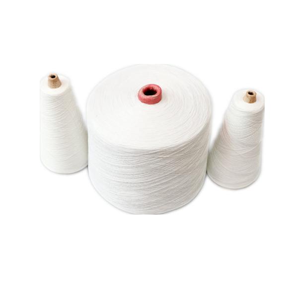 Résistance élevée 20/6 100% de polyester à fil de fermeture de sac