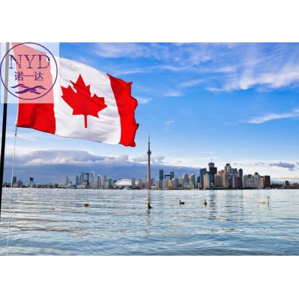 Transporte marítimo / aéreo de China a Canadá para una logística fácil