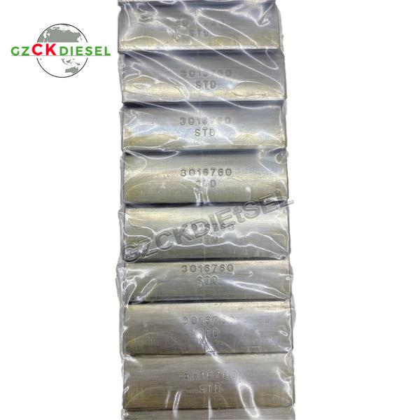 STD Con Rod Bearing 3016760 3016761 Main Bearing 4025120 3801150 3400710 for M11 L10 Engine