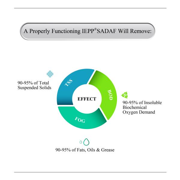 IEPP Integrated Max Flow 180m3/h Food Meat Processing Oil Water Separator Grease Trap System Dissolved air Flotation Machine