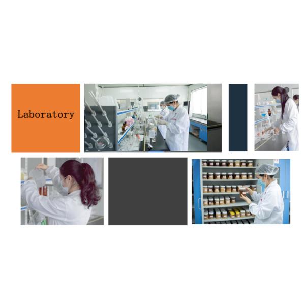 100% чистый чистый сырой мед натуральный мед из насилия натуральный пчелиный мед без каких-либо добавок