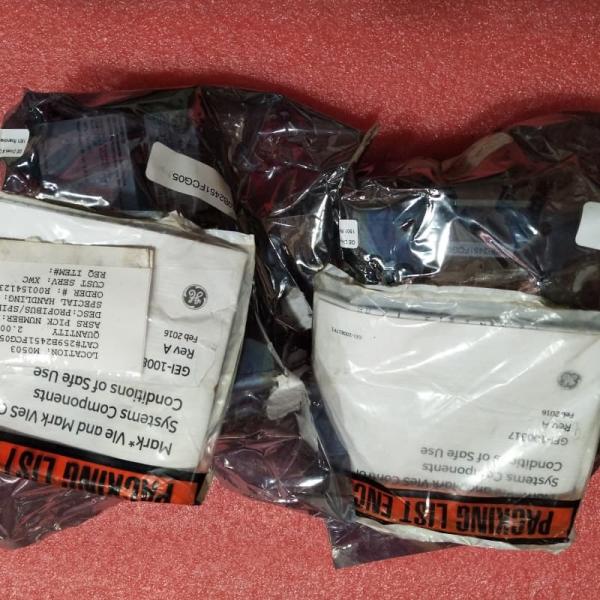 GE IS220PPRFH1A Pack passerelle maître PROFIBUS pour Mark VIe
