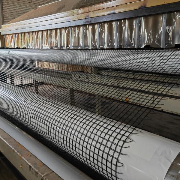 Versatile Warp Knitting Polyester Geogrid 250-50kn for Railway Projects