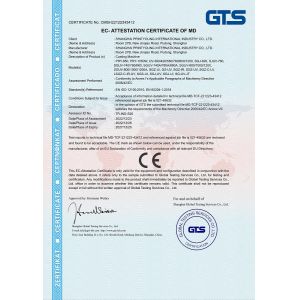 Shanghai Printyoung International Industry Co.,Ltd Certificações