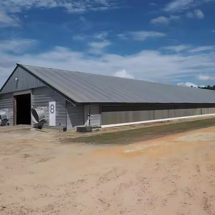 Q235B Q355B Grade Steel Structure Poultry House Pre engineered Steel Frame Shed