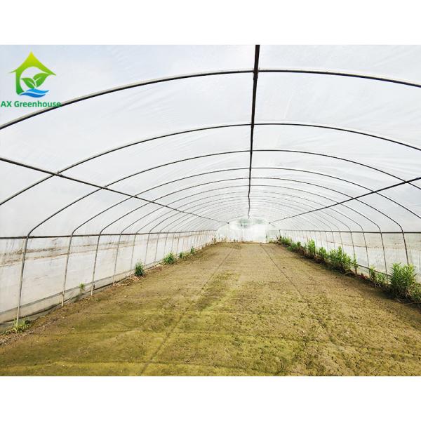 Filtro de plástico PE Resistente ao vento Poli Túnel Tomate Estufas Para Venda