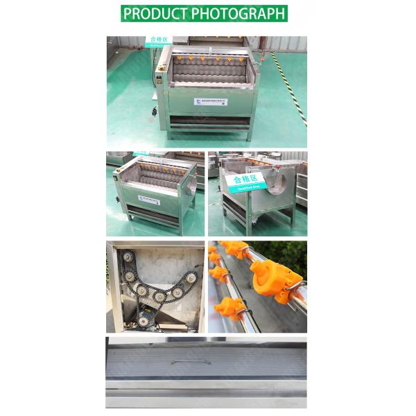Potato Washing And Peeling Machine Furit And Vegetable Peeler Machine