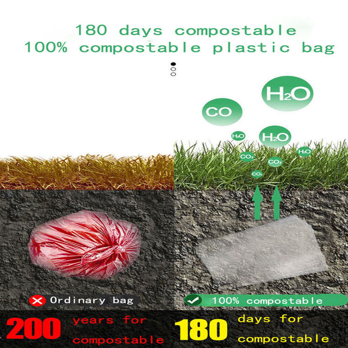 Замороженная Biodegradable упаковывая сумка