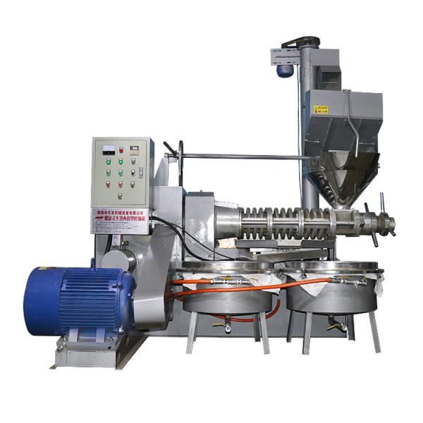 60r/Min 37KW 380v SS Sunflower Oil Extraction Machine