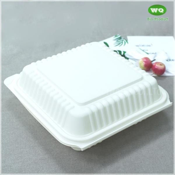 Duarable 8x8 Inch Bioplastic Hinge Food Container, 9x9inch Corn-Stach Microwave Safe Green/Healty Restaurant Packing Box
